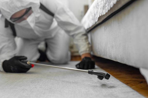 Professional Cockroach Control technician working in Marion County County, OR